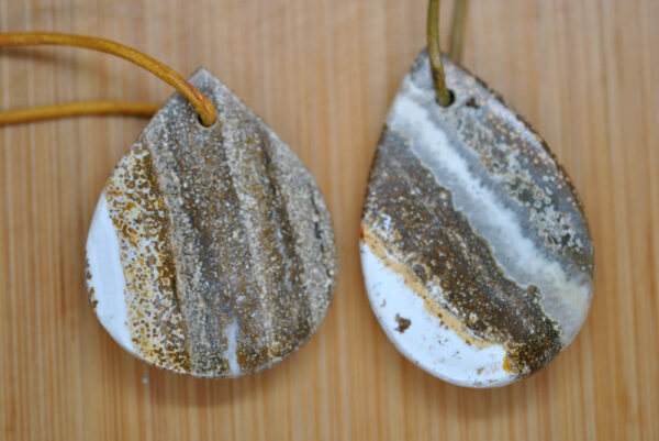 Ozeanchalcedon – Bild 2